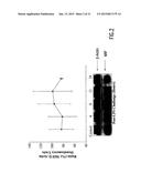 Method of Treatment and Bioassay Involving Macrophage Migration Inhibitory     Factor (MIF) as Cardiac-Derived Myocardial Depressant Factor diagram and image