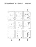 Method of Treatment and Bioassay Involving Macrophage Migration Inhibitory     Factor (MIF) as Cardiac-Derived Myocardial Depressant Factor diagram and image