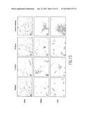 Method of Treatment and Bioassay Involving Macrophage Migration Inhibitory     Factor (MIF) as Cardiac-Derived Myocardial Depressant Factor diagram and image