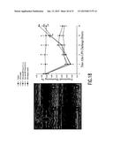 Method of Treatment and Bioassay Involving Macrophage Migration Inhibitory     Factor (MIF) as Cardiac-Derived Myocardial Depressant Factor diagram and image