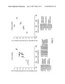 Preparation for Transnasal Application diagram and image