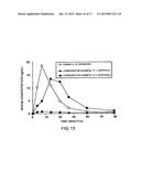 Preparation for Transnasal Application diagram and image