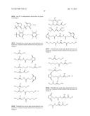 NOVEL CROSSLINKING REAGENTS, MACROMOLECULES, THERAPEUTIC BIOCONJUGATES,     AND SYNTHETIC METHODS THEREOF diagram and image