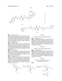 NOVEL CROSSLINKING REAGENTS, MACROMOLECULES, THERAPEUTIC BIOCONJUGATES,     AND SYNTHETIC METHODS THEREOF diagram and image