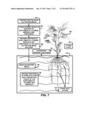 SUPPLEMENT AND MEDICATION CULTIVATED PLANT DELIVERY SYSTEM diagram and image