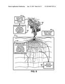 SUPPLEMENT AND MEDICATION CULTIVATED PLANT DELIVERY SYSTEM diagram and image