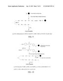 INTEGRIN INTERACTION INHIBITORS FOR THE TREATMENT OF CANCER diagram and image