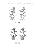 INTEGRIN INTERACTION INHIBITORS FOR THE TREATMENT OF CANCER diagram and image