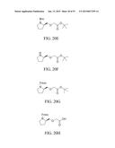 INTEGRIN INTERACTION INHIBITORS FOR THE TREATMENT OF CANCER diagram and image