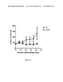 INTEGRIN INTERACTION INHIBITORS FOR THE TREATMENT OF CANCER diagram and image