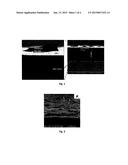 COATING LAYERS OF A NANOCOMPOSITE COMPRISING A NANO-CELLULOSE MATERIAL AND     NANOPARTICLES diagram and image