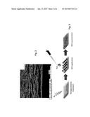 COATING LAYERS OF A NANOCOMPOSITE COMPRISING A NANO-CELLULOSE MATERIAL AND     NANOPARTICLES diagram and image