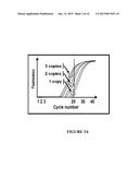 Absolute PCR Quantification diagram and image