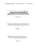 LABEL-FREE SEQUENCING METHOD FOR SINGLE NUCLEIC ACID MOLECULE diagram and image