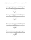 LABEL-FREE SEQUENCING METHOD FOR SINGLE NUCLEIC ACID MOLECULE diagram and image