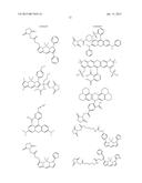 STAIN, PROCESS FOR STAINING AND ACQUIRING NORMALIZED SIGNAL diagram and image