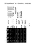 PROFILING OF SIGNAL PATHWAY PROTEINS TO DETERMINE THERAPEUTIC EFFICACY diagram and image