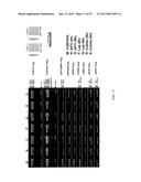 PROFILING OF SIGNAL PATHWAY PROTEINS TO DETERMINE THERAPEUTIC EFFICACY diagram and image