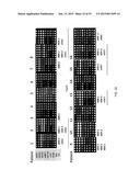 PROFILING OF SIGNAL PATHWAY PROTEINS TO DETERMINE THERAPEUTIC EFFICACY diagram and image