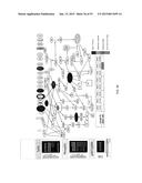 PROFILING OF SIGNAL PATHWAY PROTEINS TO DETERMINE THERAPEUTIC EFFICACY diagram and image