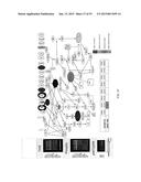 PROFILING OF SIGNAL PATHWAY PROTEINS TO DETERMINE THERAPEUTIC EFFICACY diagram and image