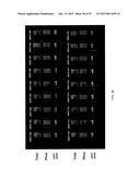 PROFILING OF SIGNAL PATHWAY PROTEINS TO DETERMINE THERAPEUTIC EFFICACY diagram and image