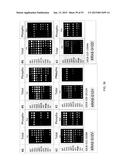 PROFILING OF SIGNAL PATHWAY PROTEINS TO DETERMINE THERAPEUTIC EFFICACY diagram and image