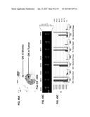 PROFILING OF SIGNAL PATHWAY PROTEINS TO DETERMINE THERAPEUTIC EFFICACY diagram and image