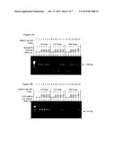 COMPOSITIONS AND METHODS FOR REVERSE TRANSCRIPTASE-POLYMERASE CHAIN     REACTION (RT-PCR) diagram and image