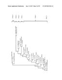 Engineered CO2-Fixing Chemotrophic Microorganisms Producing Carbon-Based     Products and Methods of Using the Same diagram and image