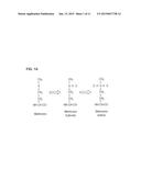 MEANS AND METHODS OF MEASURING PARATHYROID HORMONE IN PATIENTS SUFFERING     FROM OXIDATIVE STRESS diagram and image