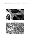 ARTICLE INCLUDING INTUMESCENT COATING, PROCESS FOR FORMING AND USE OF SAME diagram and image