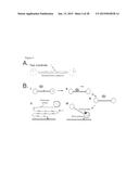 ENZYME DETECTION BY MICROFLUIDICS diagram and image