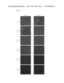 ENZYME DETECTION BY MICROFLUIDICS diagram and image