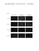 ENZYME DETECTION BY MICROFLUIDICS diagram and image