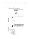 ENZYME DETECTION BY MICROFLUIDICS diagram and image