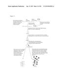 ENZYME DETECTION BY MICROFLUIDICS diagram and image