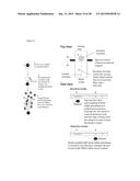 ENZYME DETECTION BY MICROFLUIDICS diagram and image