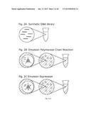 HIGH THROUGHPUT SCREEN FOR BIOLOGICALLY ACTIVE POLYPEPTIDES diagram and image