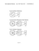 HIGH THROUGHPUT SCREEN FOR BIOLOGICALLY ACTIVE POLYPEPTIDES diagram and image