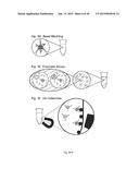 HIGH THROUGHPUT SCREEN FOR BIOLOGICALLY ACTIVE POLYPEPTIDES diagram and image