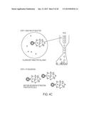 HIGH THROUGHPUT SCREEN FOR BIOLOGICALLY ACTIVE POLYPEPTIDES diagram and image