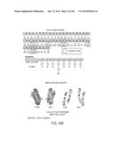 HIGH THROUGHPUT SCREEN FOR BIOLOGICALLY ACTIVE POLYPEPTIDES diagram and image