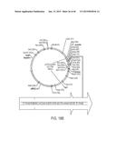 HIGH THROUGHPUT SCREEN FOR BIOLOGICALLY ACTIVE POLYPEPTIDES diagram and image