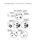 HIGH THROUGHPUT SCREEN FOR BIOLOGICALLY ACTIVE POLYPEPTIDES diagram and image