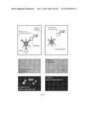 HIGH THROUGHPUT SCREEN FOR BIOLOGICALLY ACTIVE POLYPEPTIDES diagram and image