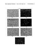 POST CHEMICAL-MECHANICAL-POLISHING (POST-CMP) CLEANING COMPOSITION     COMPRISING A SPECIFIC SULFUR-CONTAINING COMPOUND AND A SUGAR ALCOHOL OR A     POLYCARBOXYLIC ACID diagram and image