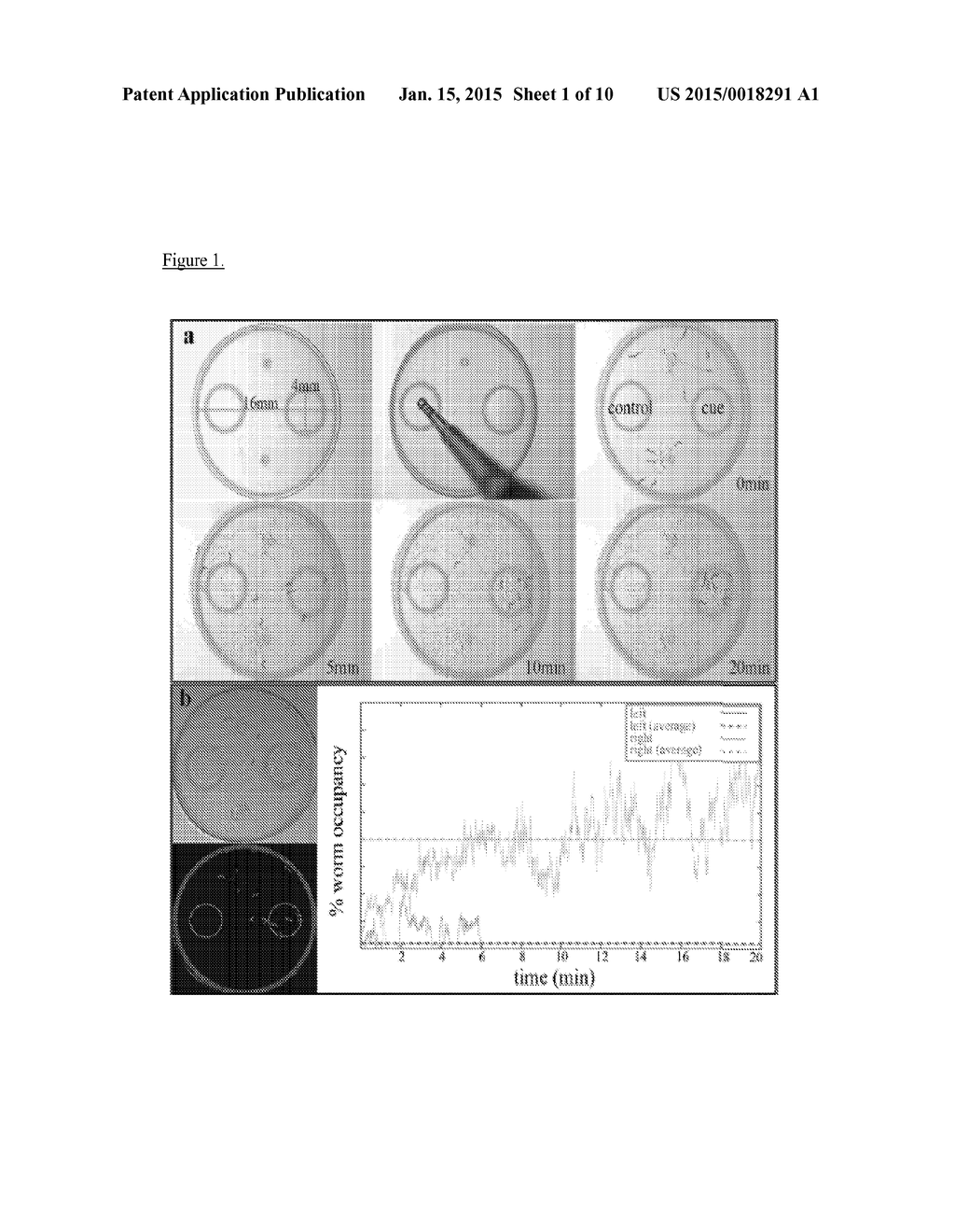 The Utility of Nematode Small Molecules - diagram, schematic, and image 02