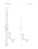 MODULATORS OF TOUSLED KINASE IN CELLULAR PROCESSES diagram and image