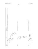 MODULATORS OF TOUSLED KINASE IN CELLULAR PROCESSES diagram and image